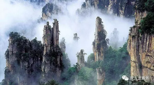 東方龍商務(wù)與張家界經(jīng)濟開發(fā)區(qū)達成委托招商引資合作,助力打造生態(tài)工業(yè)新城 東方龍商務(wù)與張家界經(jīng)濟開發(fā)區(qū)達成委托招商引資合作,助力打造生態(tài)工業(yè)新城
