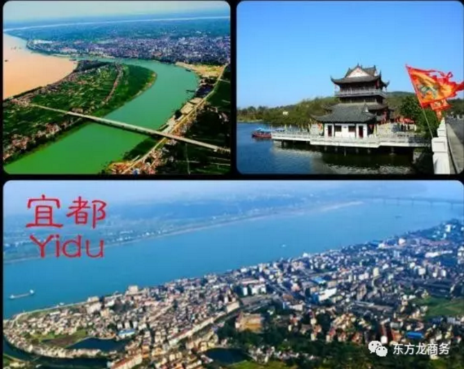 東方龍商務(wù)舉行湖北省宜都市委托招商引資啟動會,共同推動項目對接和落地 東方龍商務(wù)舉行湖北省宜都市委托招商引資啟動會,共同推動項目對接和落地