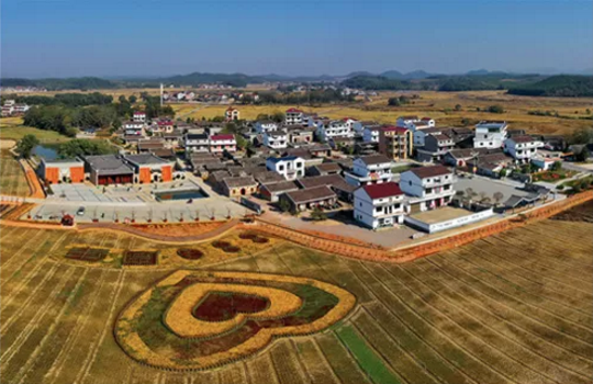 全力助推江西撫州金溪縣委托招商引資，加快建設(shè)現(xiàn)代生態(tài)產(chǎn)業(yè)新城