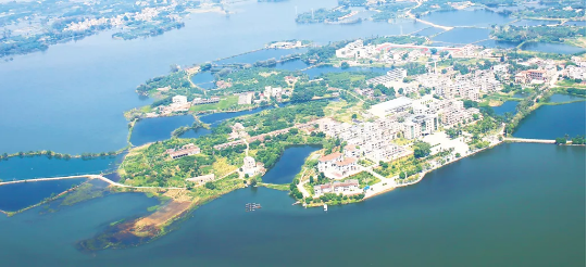 集團(tuán)全力助推廣東湛江廉江市委托招商引資，圍繞優(yōu)勢(shì)產(chǎn)業(yè)補(bǔ)鏈、強(qiáng)鏈、延鏈