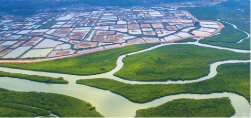 集團(tuán)全力助推廣東湛江廉江市委托招商引資，圍繞優(yōu)勢(shì)產(chǎn)業(yè)補(bǔ)鏈、強(qiáng)鏈、延鏈