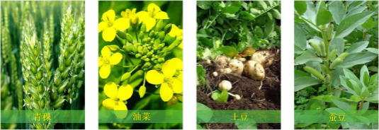 【甘南政府招商推介】立足生態(tài)優(yōu)勢，推動綠色發(fā)展，打造青藏高原上的生態(tài)文明高地
