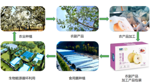 集團(tuán)全力助推山西省臨汾市隰縣委托招商引資，強(qiáng)力打造優(yōu)勢(shì)產(chǎn)業(yè)新名片