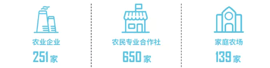 集團(tuán)全力助推福建省周寧縣委托招商引資，打造宜居宜業(yè)宜游的“云端之城”