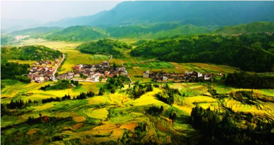 集團(tuán)全力助推福建省周寧縣委托招商引資，打造宜居宜業(yè)宜游的“云端之城”
