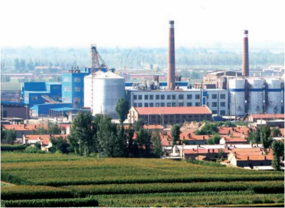 集團(tuán)全力助推內(nèi)蒙古自治區(qū)通遼市委托招商引資，強(qiáng)勢(shì)打造五大產(chǎn)業(yè)集群高質(zhì)量發(fā)展新格局