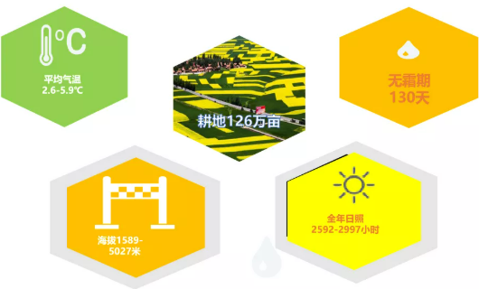 集團(tuán)全力助推甘肅民樂縣委托招商引資，以“一區(qū)五園”打造發(fā)展新增長極