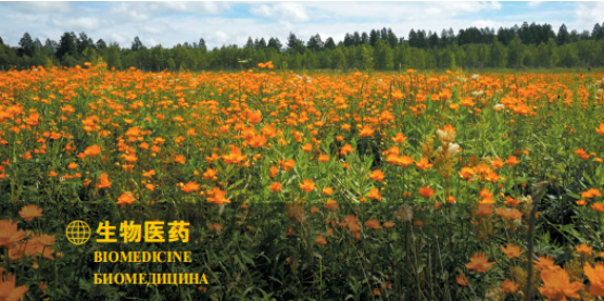 集團(tuán)全力助推黑龍江大興安嶺委托招商引資，聚力將“冷資源”轉(zhuǎn)化為“熱經(jīng)濟(jì)”！
