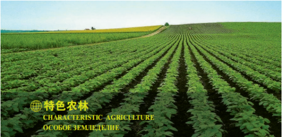 集團(tuán)全力助推黑龍江大興安嶺委托招商引資，聚力將“冷資源”轉(zhuǎn)化為“熱經(jīng)濟(jì)”！