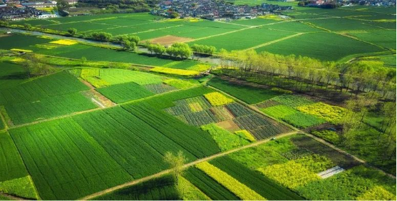 集團(tuán)全力助推山東泰安岱岳區(qū)委托招商引資，擴(kuò)大產(chǎn)業(yè)集聚規(guī)模