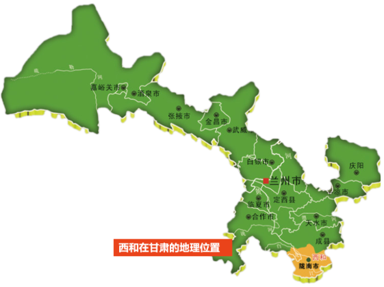 集團全力助推甘肅隴南西和縣委托招商引資，帶動特色產業(yè)提質增效！