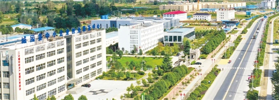 集團(tuán)全力助推陜西省城固縣委托招商引資，打造百億級(jí)產(chǎn)業(yè)集群