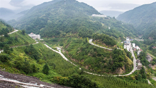 集團全力助推甘肅隴南武都區(qū)委托招商引資，將地域資源優(yōu)勢轉(zhuǎn)化為經(jīng)濟發(fā)展新動能