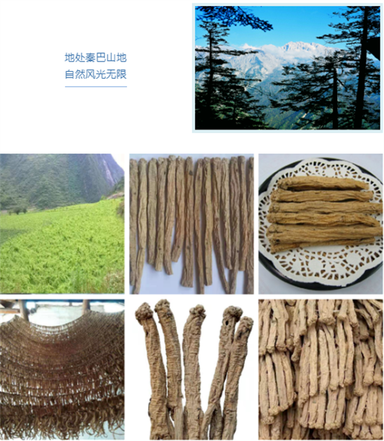 東方龍商務(wù)集團(tuán)全力助推甘肅隴南文縣委托招商招商引資，重點(diǎn)構(gòu)建特色農(nóng)業(yè)、優(yōu)勢(shì)工業(yè)、文旅康養(yǎng)三大產(chǎn)業(yè)集群