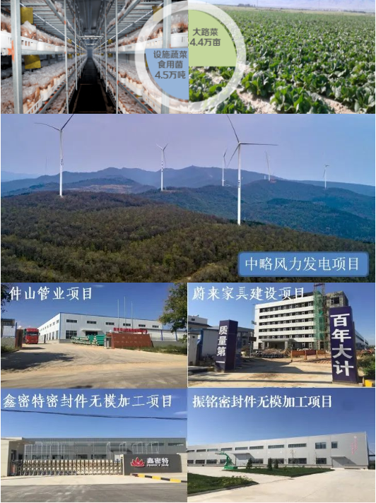 集團(tuán)全力助推陜西淳化縣委托招商引資，打造優(yōu)勢(shì)特色產(chǎn)業(yè)集群