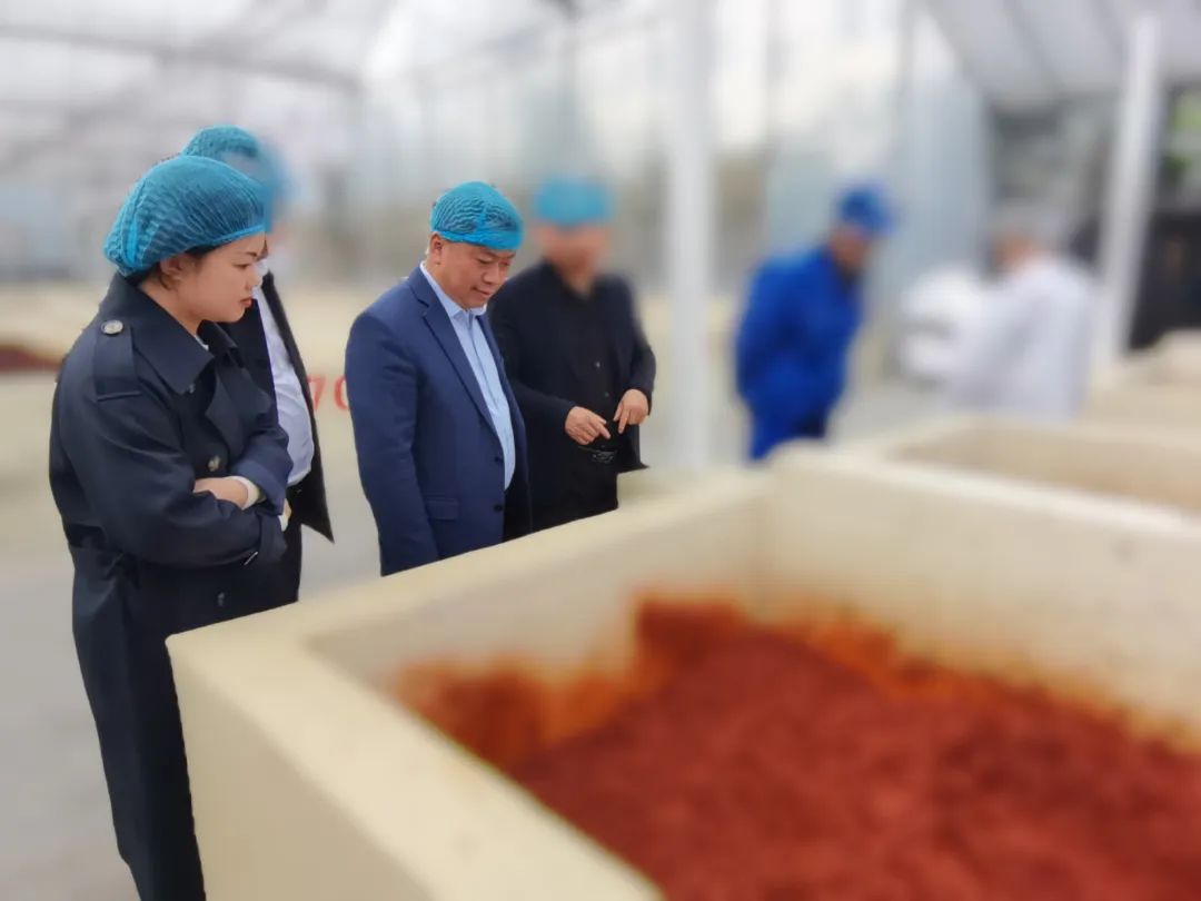農業(yè)產業(yè)化龍頭企業(yè)，20余年生產經驗！四川某地方政府成功對接老牌調味品擴建投資選址項目