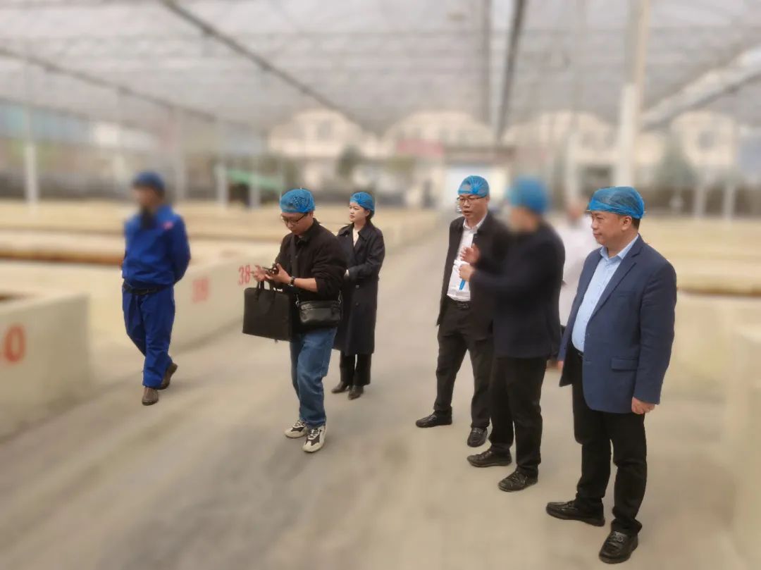 農業(yè)產業(yè)化龍頭企業(yè)，20余年生產經驗！四川某地方政府成功對接老牌調味品擴建投資選址項目