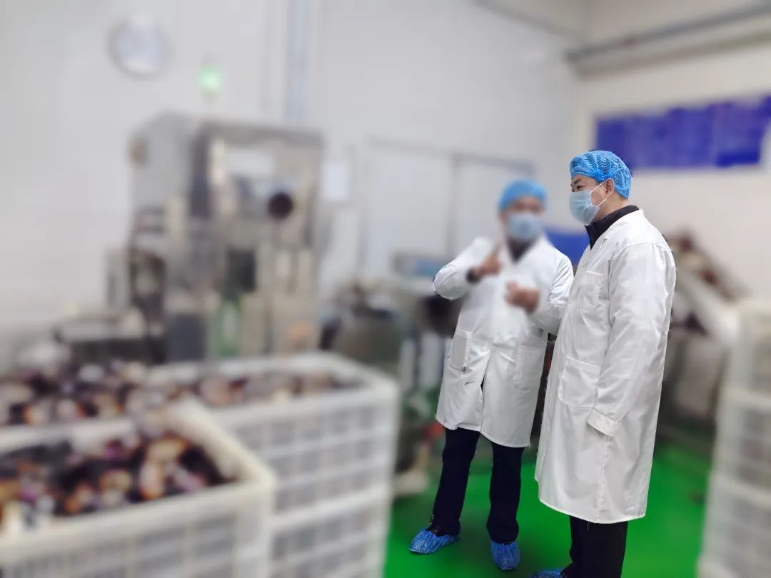 20年老牌企業(yè)，多家知名連鎖品牌合作商！四川某地方政府實(shí)地對(duì)接品牌休閑食品擴(kuò)建投資選址項(xiàng)目